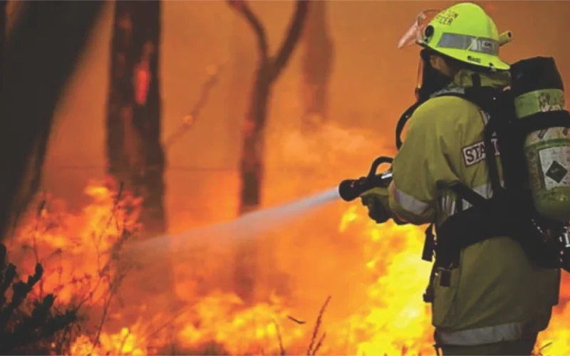 Expert Fire Fighting Systems
